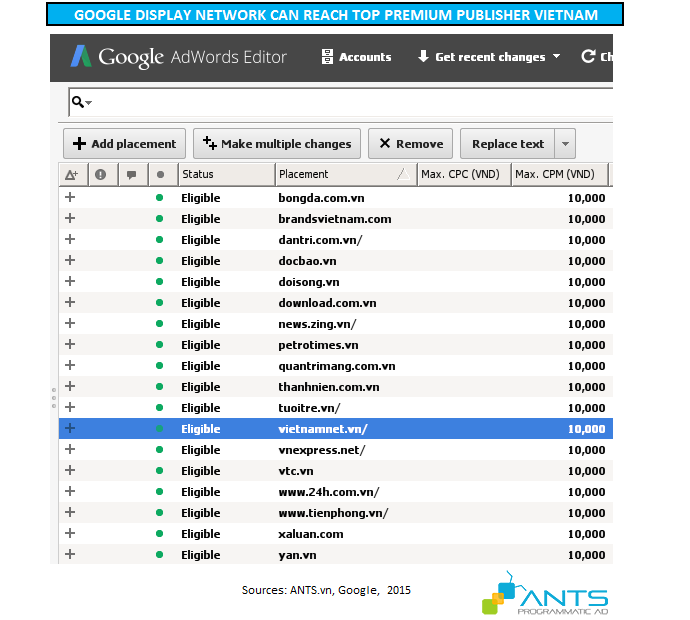 ANTS Google Display Top Premium Publisher